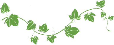Elegant green vine design