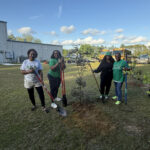Group of women gardening outdoors