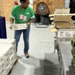 Volunteer stacking food supplies